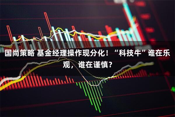 国尚策略 基金经理操作现分化！“科技牛”谁在乐观，谁在谨慎？